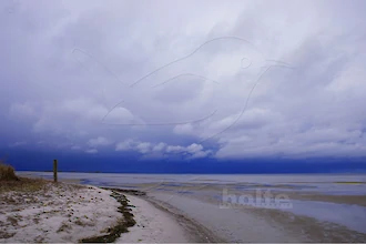 Wampen zwischen zwei Regengüssen