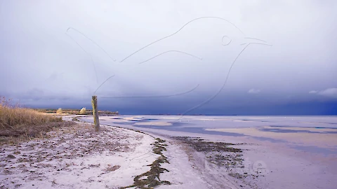 Wampen between two downpours