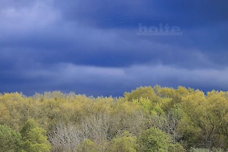 Eindrucksvolles Licht